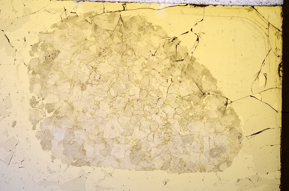 Plane Polarized, E18920