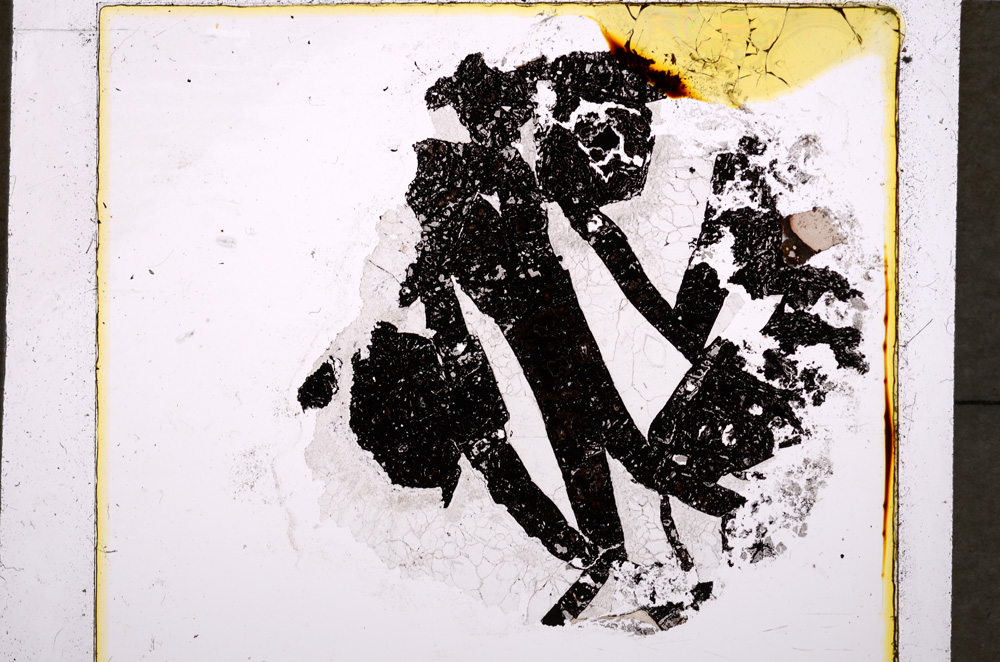 Plane Polarized, E18923/A