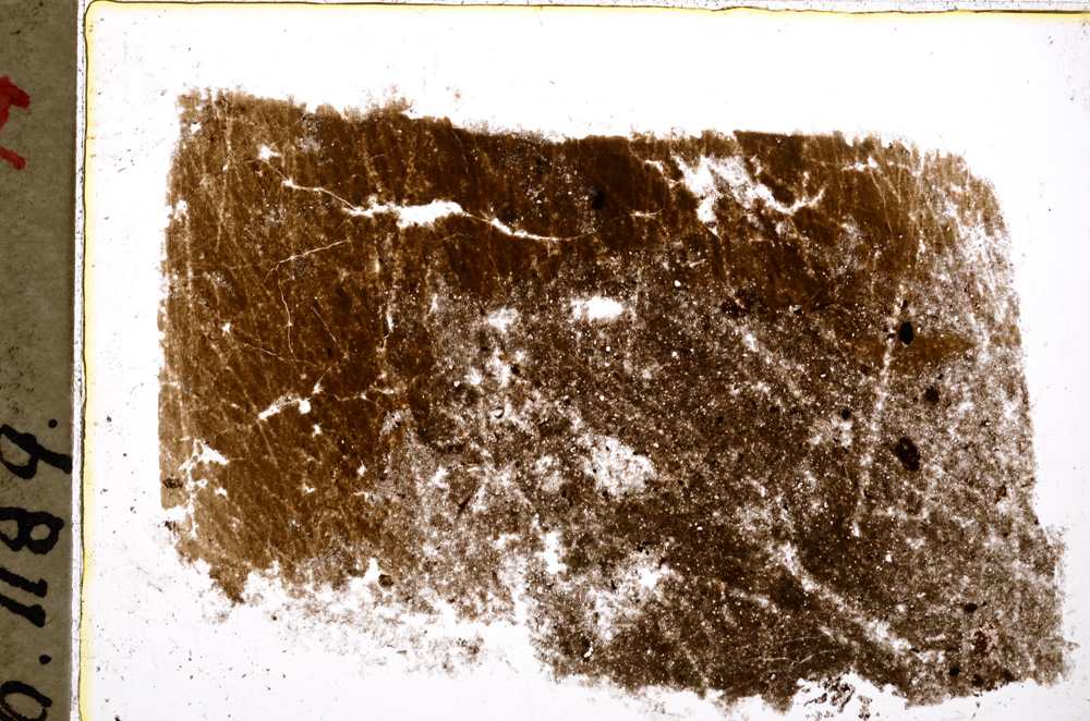 Plane Polarized, E18949