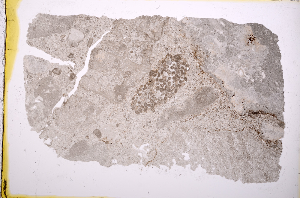 Plane Polarized, E18985