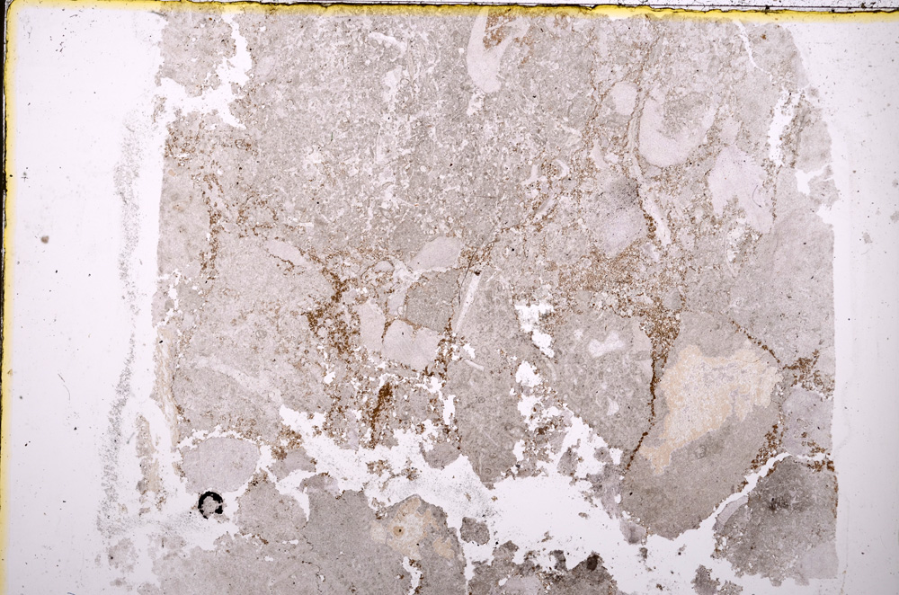 Plane Polarized, E18988