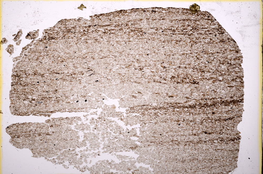 Plane Polarized, E18990