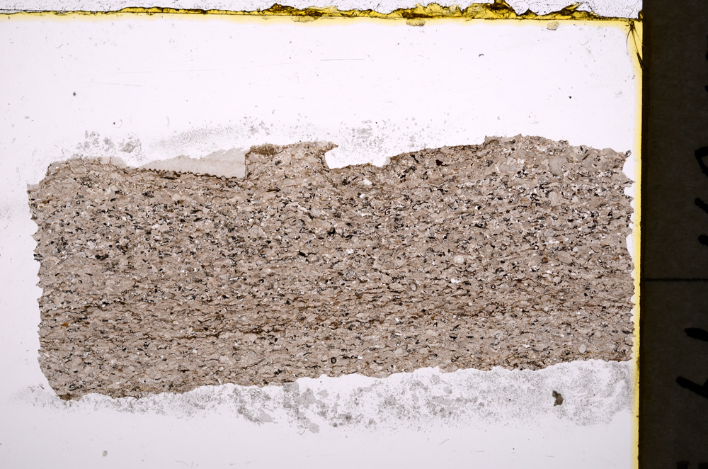 Plane Polarized, E18994