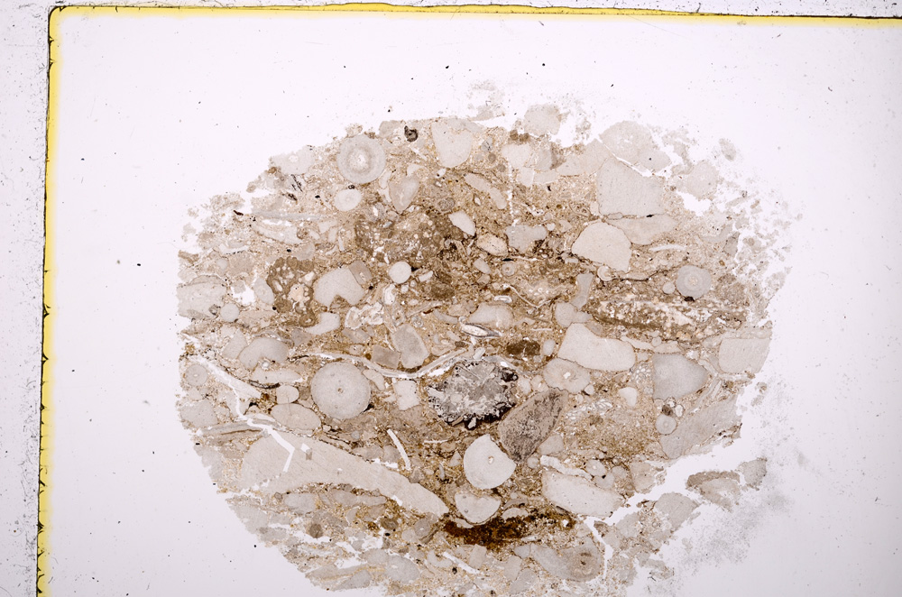 Plane Polarized, E18998