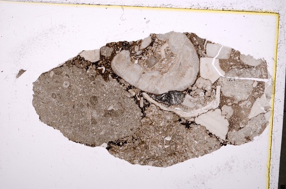 Plane Polarized, E18999