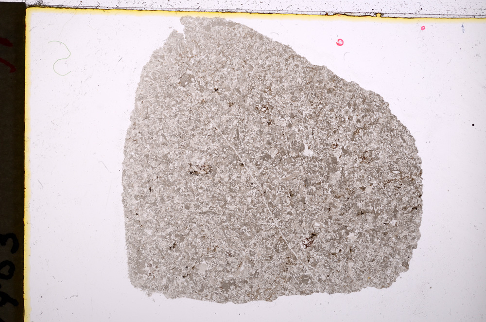 Plane Polarized, E19015