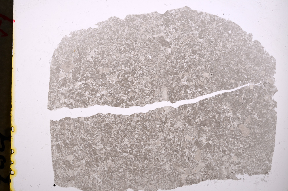 Plane Polarized, E19016