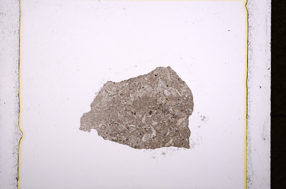 Plane Polarized, E19017