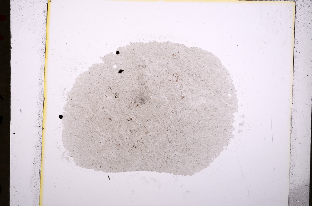 Plane Polarized, E19019