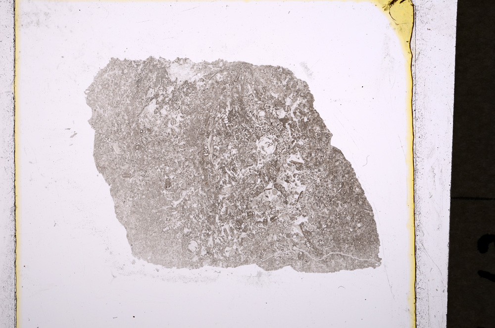 Plane Polarized, E19046