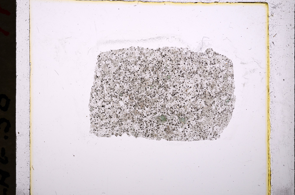 Plane Polarized, E19062