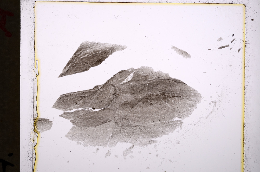 Plane Polarized, E19076