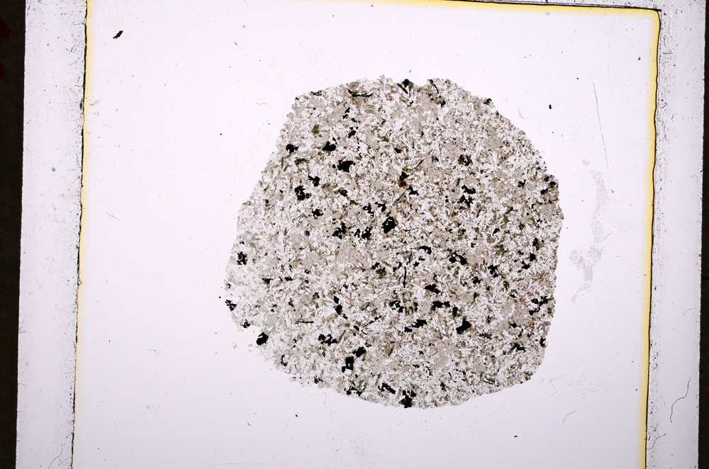 Plane Polarized, E19089