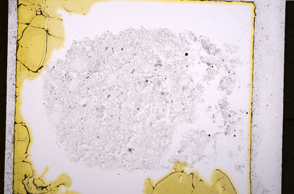 Plane Polarized, E19101