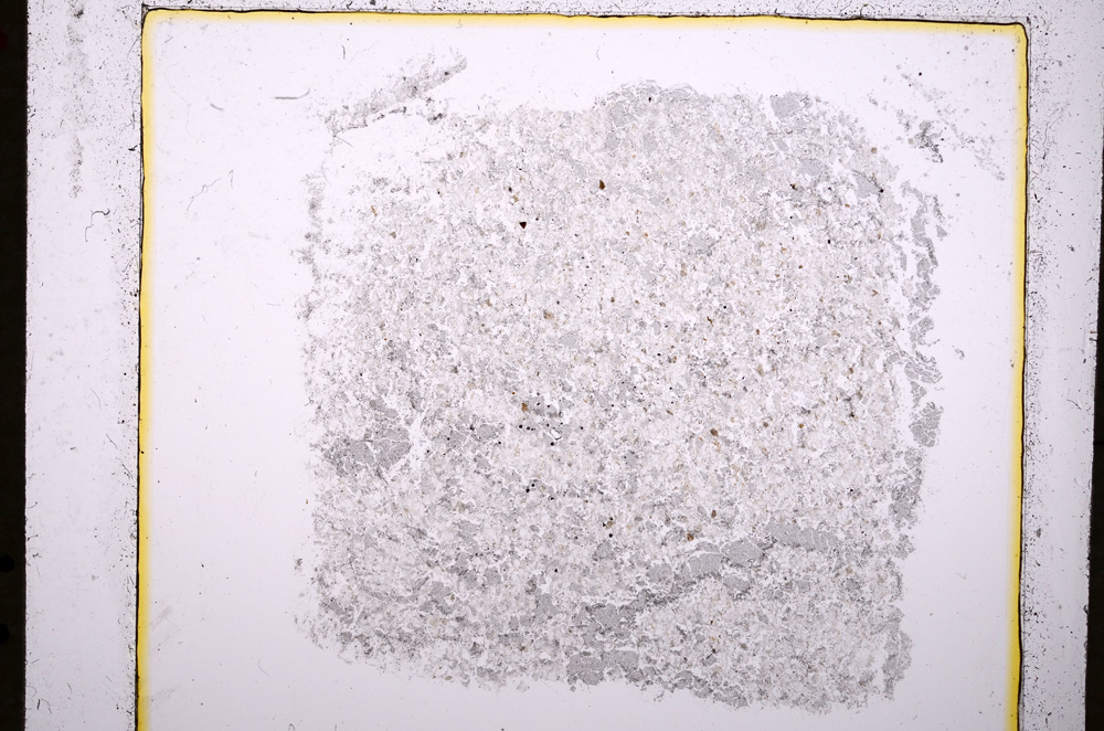 Plane Polarized, E19116