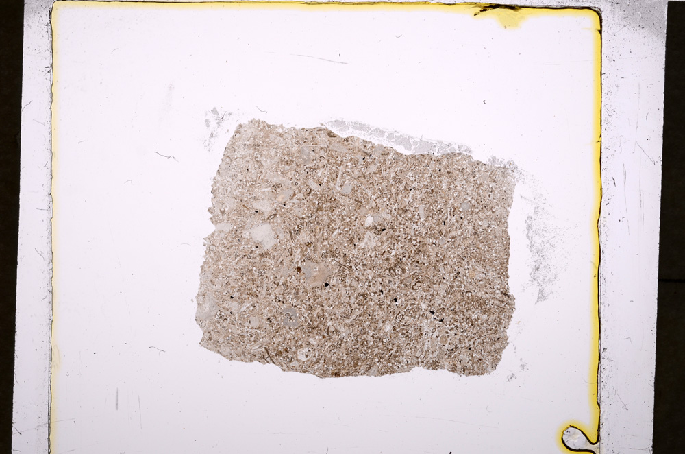 Plane Polarized, E19117