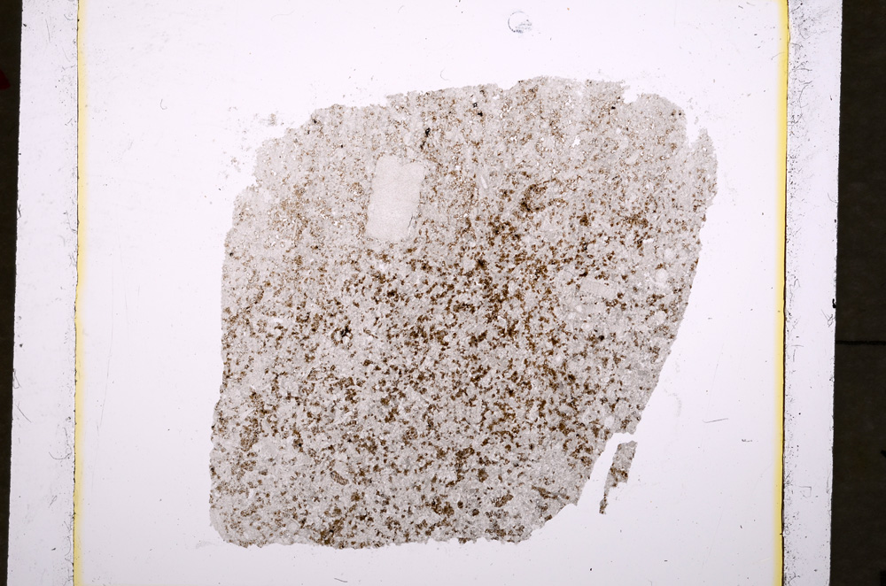 Plane Polarized, E19121