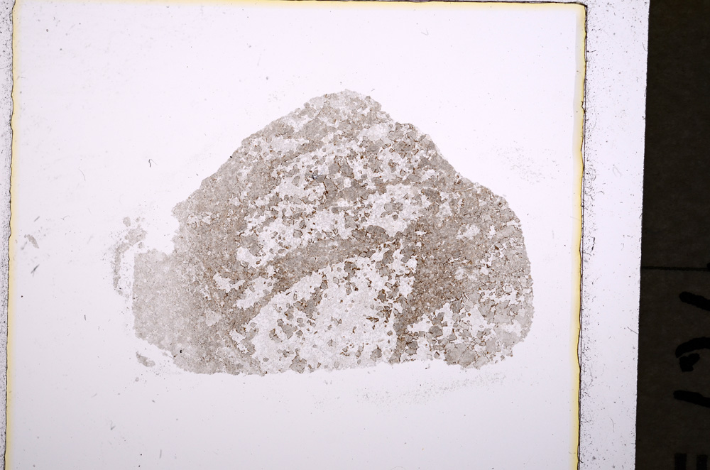 Plane Polarized, E19136