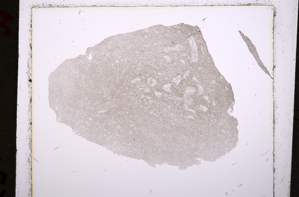 Plane Polarized, E19180