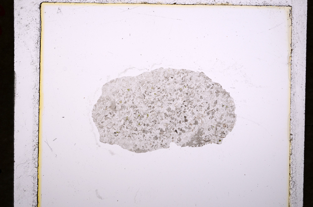 Plane Polarized, E19182