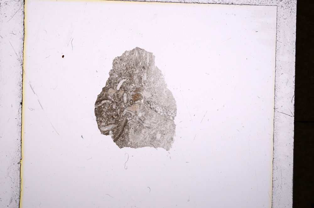 Plane Polarized, E19212