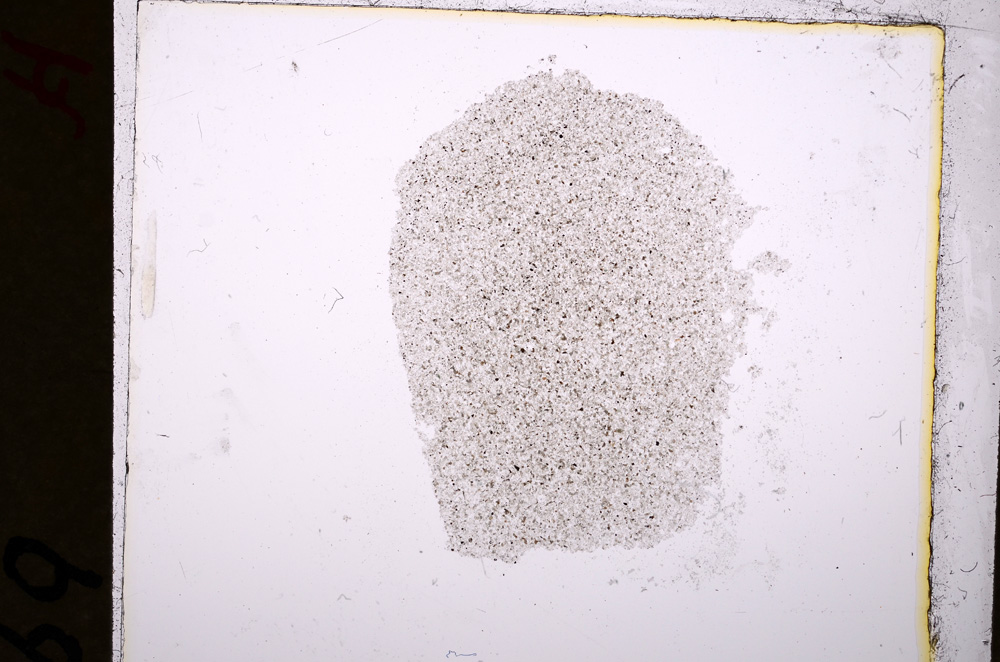 Plane Polarized, E19218