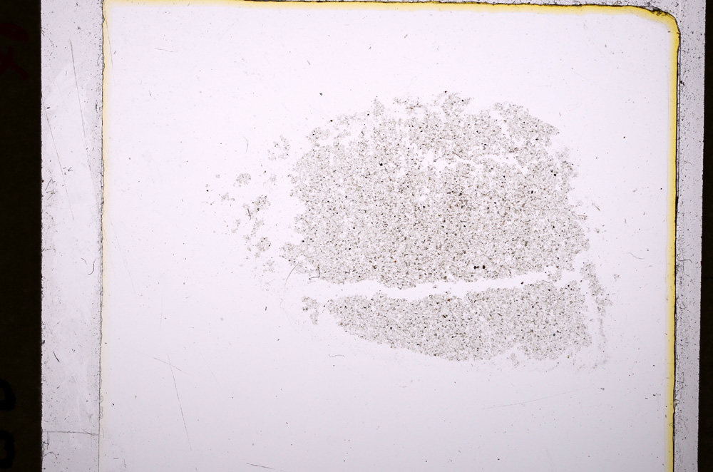 Plane Polarized, E19219