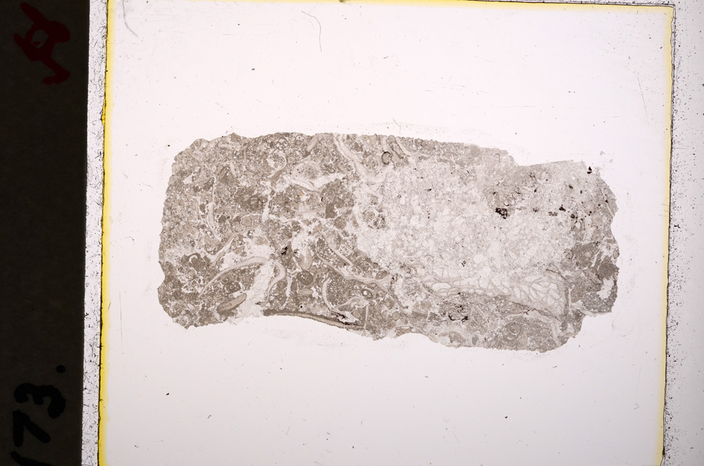 Plane Polarized, E19224