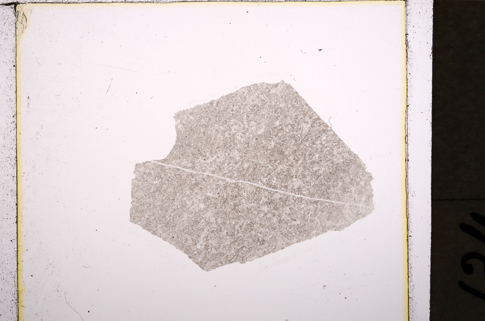 Plane Polarized, E19234