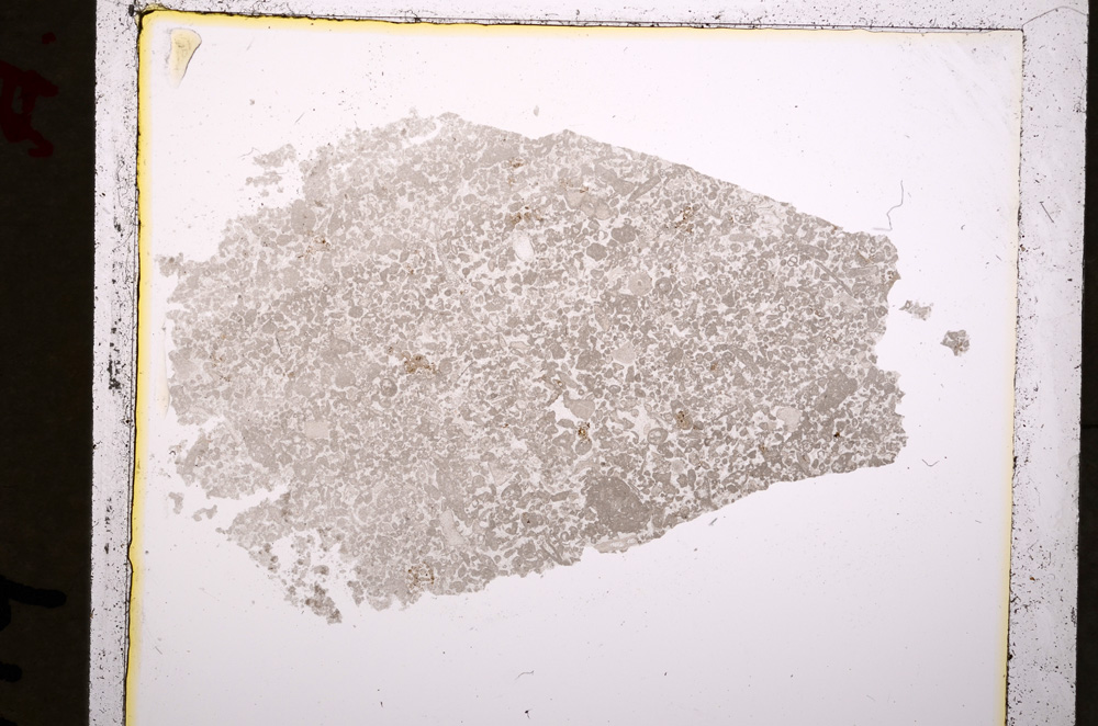 Plane Polarized, E19235