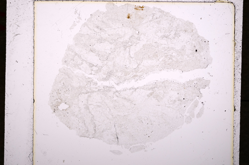 Plane Polarized, E19242