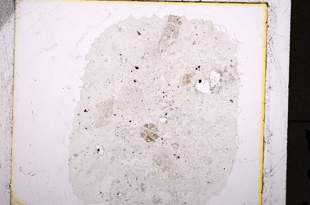 Plane Polarized, E19243