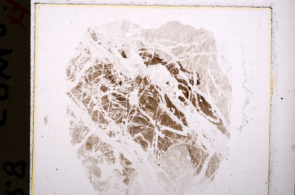 Plane Polarized, E19244