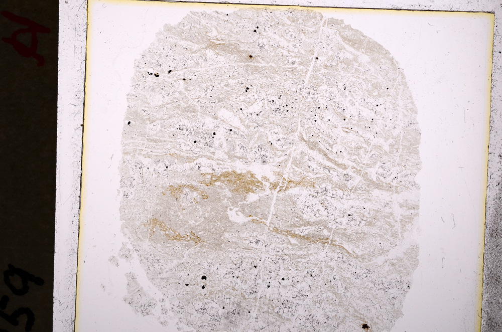 Plane Polarized, E19245