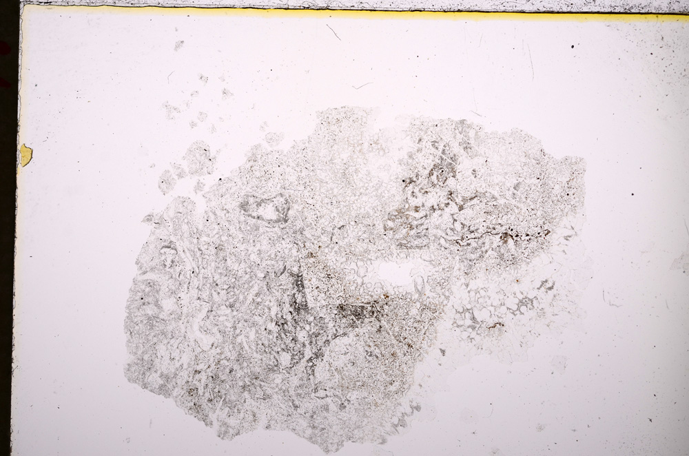 Plane Polarized, E19246