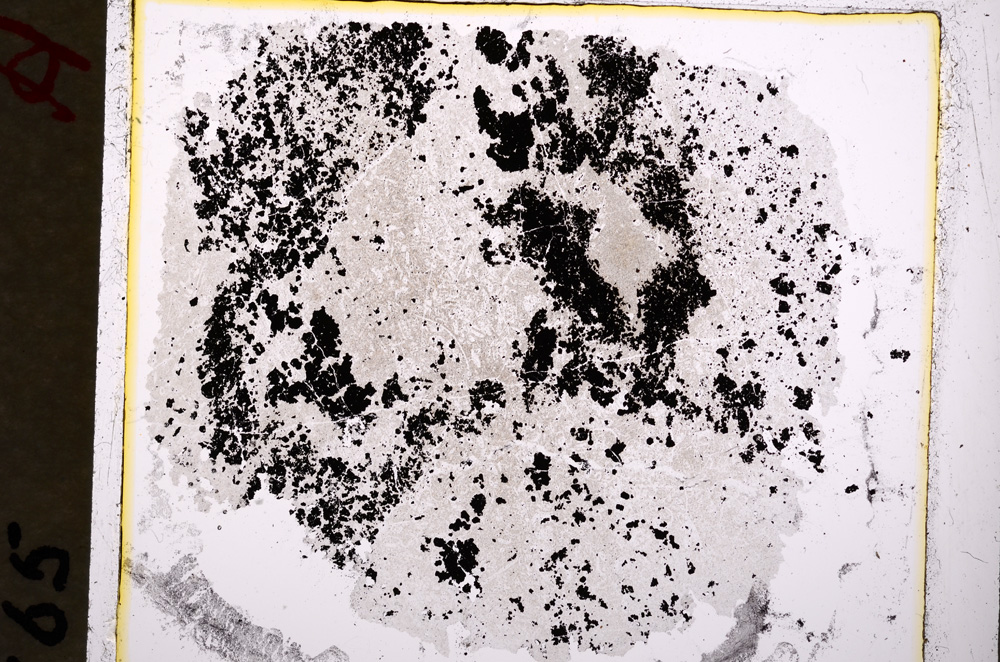 Plane Polarized, E19251