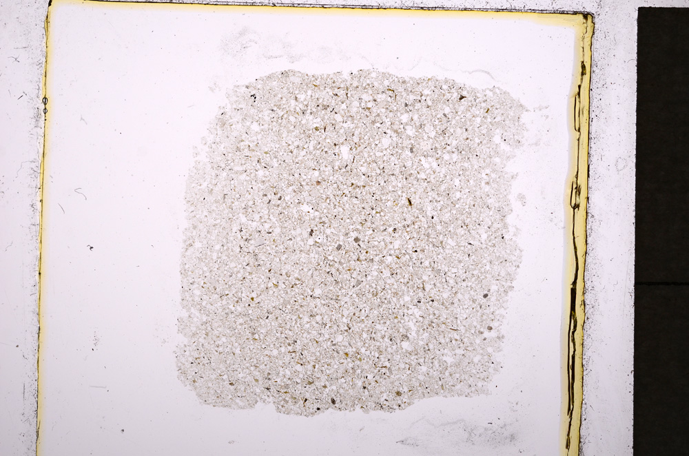 Plane Polarized, E19272