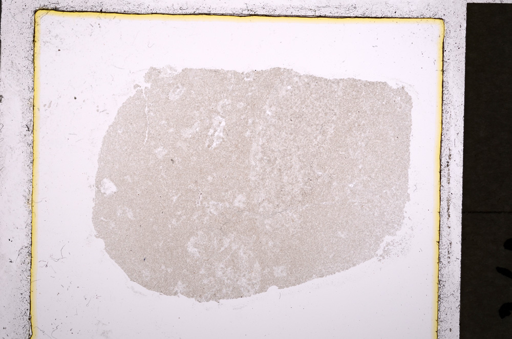 Plane Polarized, E19279