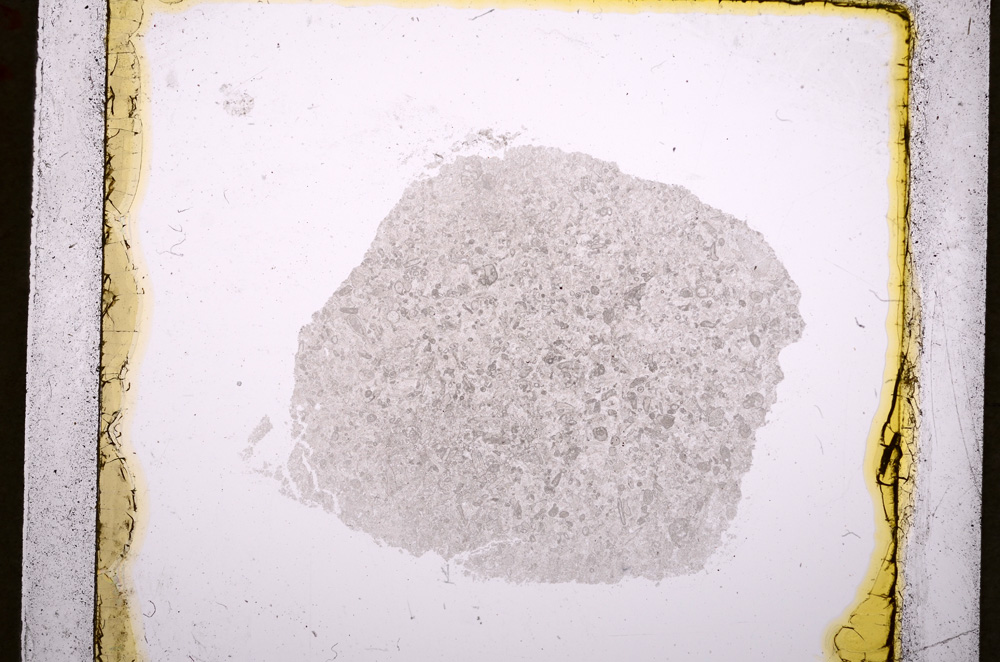 Plane Polarized, E19281