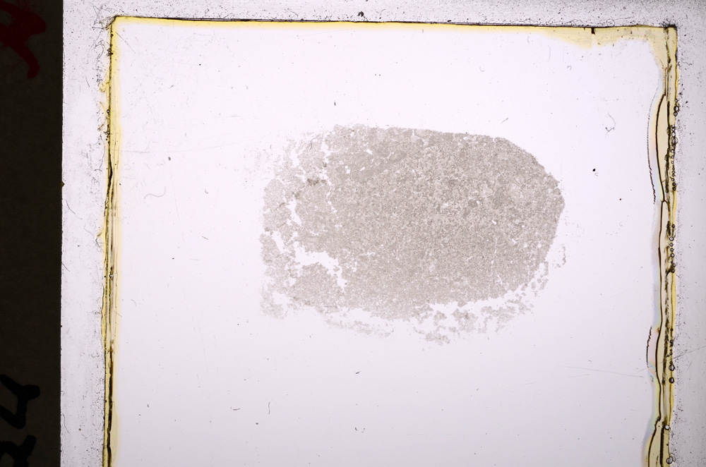 Plane Polarized, E19284