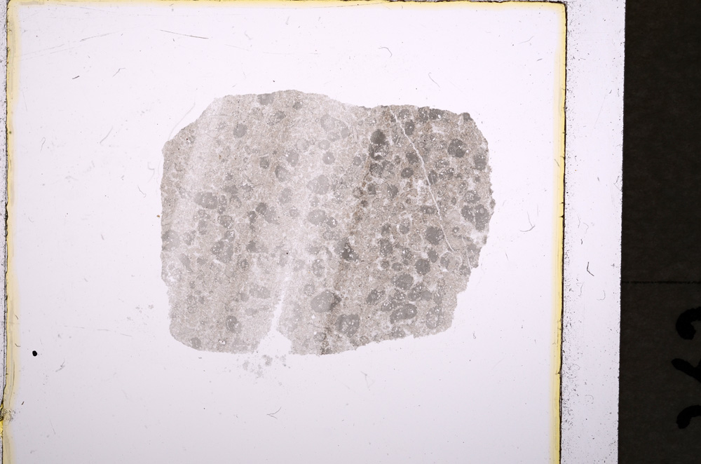 Plane Polarized, E19293