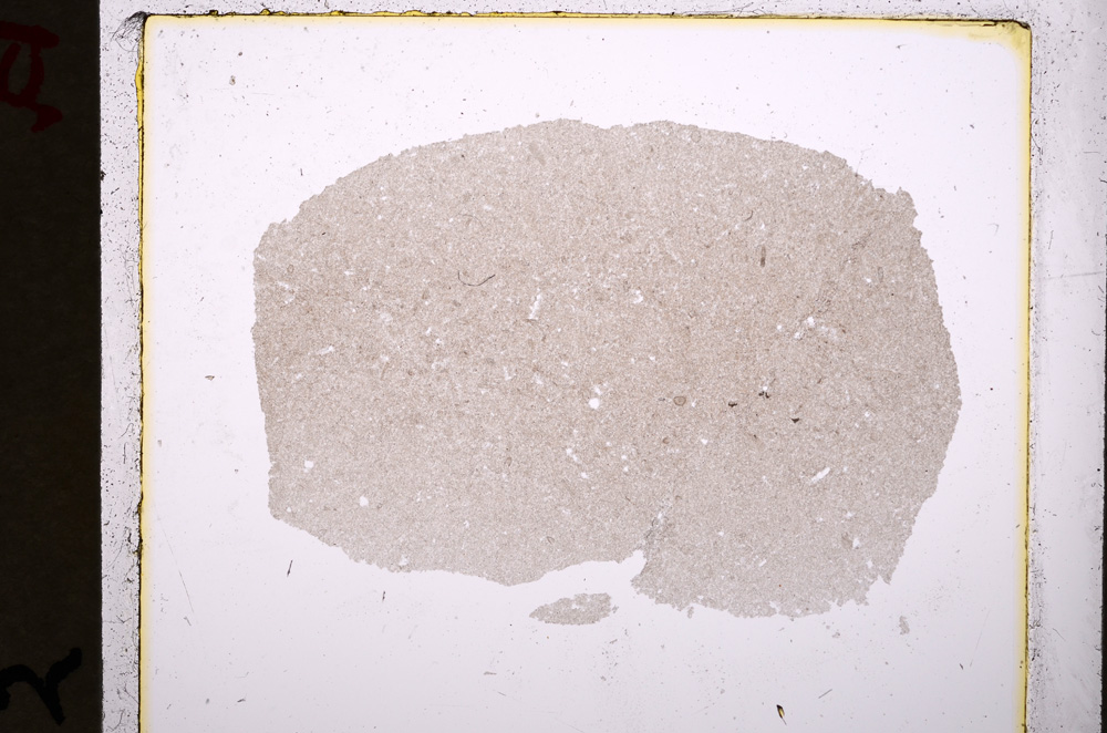 Plane Polarized, E19296