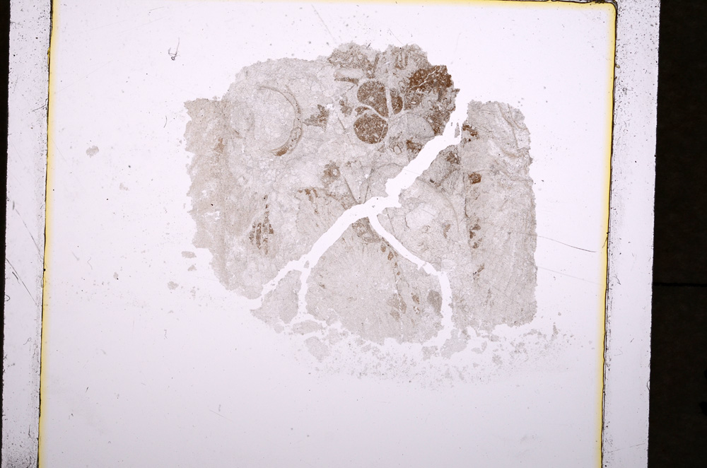 Plane Polarized, E19302