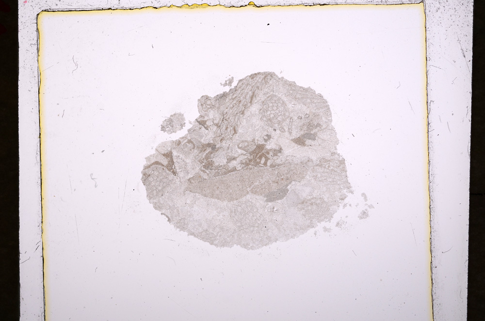 Plane Polarized, E19303