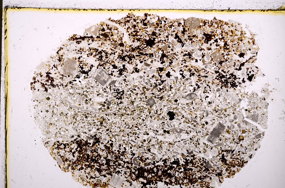 Plane Polarized, E19315