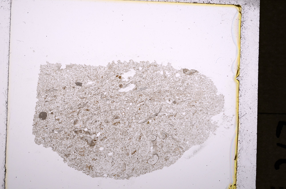 Plane Polarized, E19350