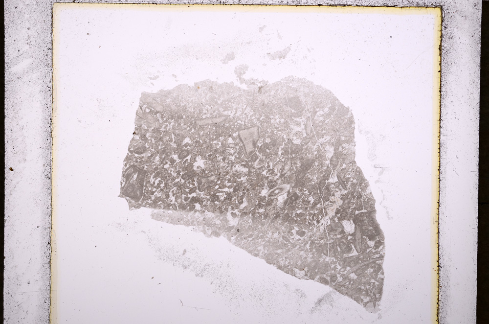 Plane Polarized, E19403