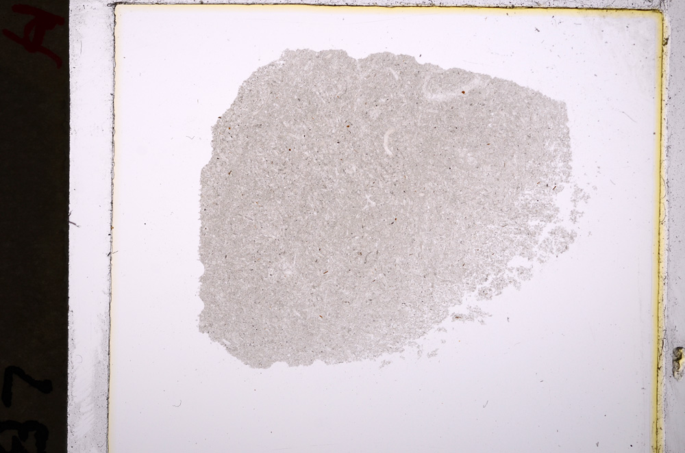 Plane Polarized, E19423