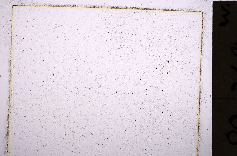 Plane Polarized, E19434