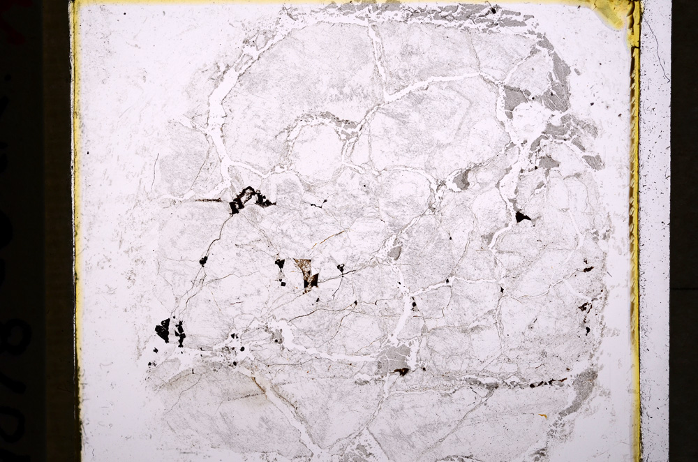 Plane Polarized, E19468